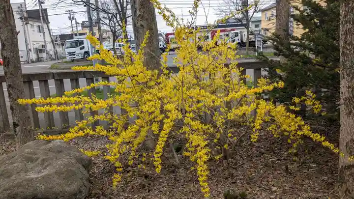 鳥取神社の自然