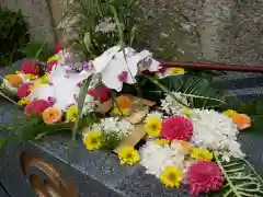 飛行神社の手水