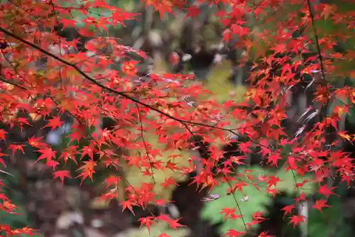 三春大神宮の自然