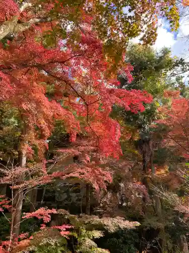 神峯山寺の自然