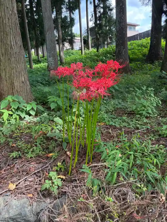 山宮浅間神社(静岡県)