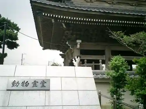光明寺のその他建物