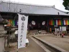 大樹寺（松安院大樹寺）の本殿