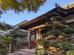 法輪寺の本殿