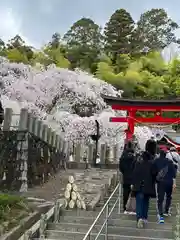 小川諏訪神社の鳥居