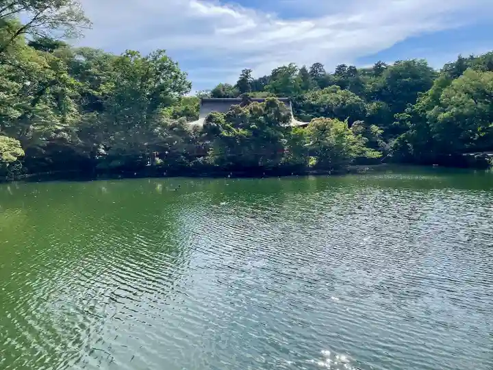 親之井稲荷(尊)跡の周辺