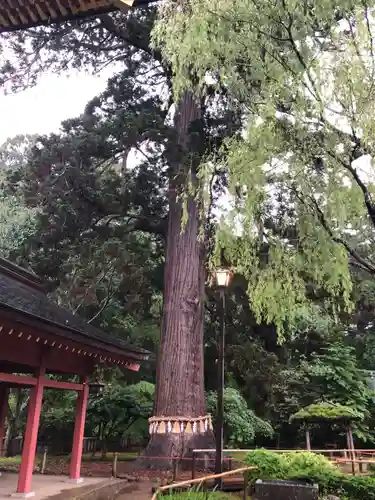 志波彦神社・鹽竈神社(宮城県)
