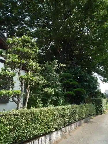 法林寺(千葉県)