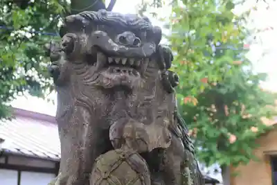 阿邪訶根神社の狛犬