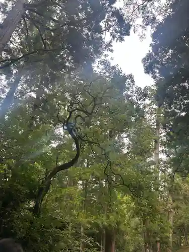伊勢神宮内宮（皇大神宮）(三重県)