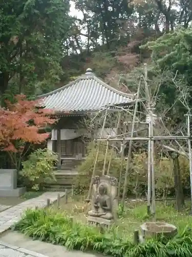 安國論寺（安国論寺）の本殿・本堂