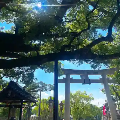 百舌鳥八幡宮(大阪府)