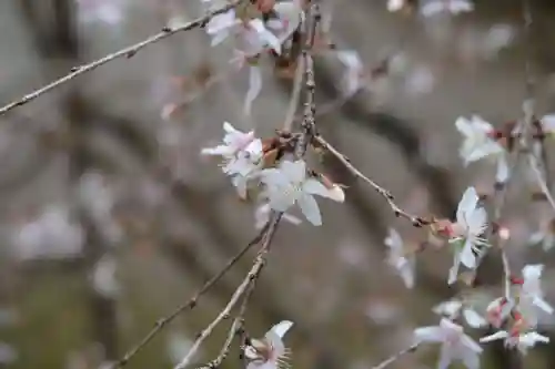 西明寺(滋賀県)