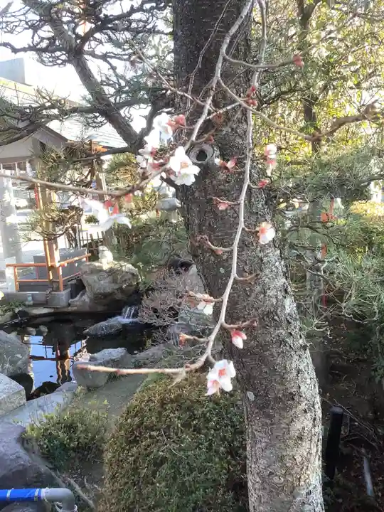 尾張猿田彦神社(愛知県)