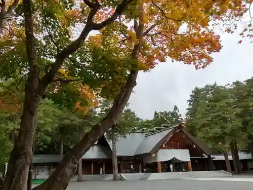 北海道神宮の本殿・本堂
