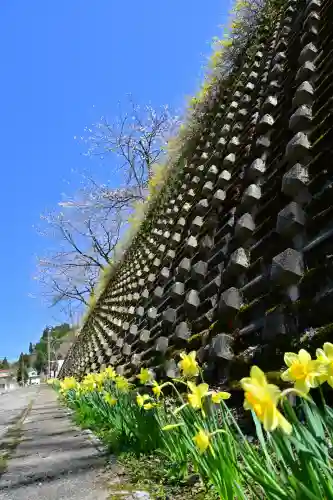 高龍神社(新潟県)