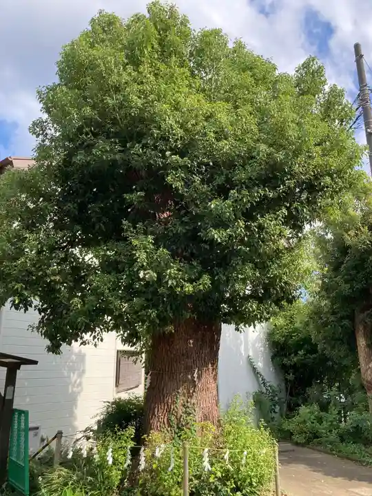 春日神社(神奈川県)