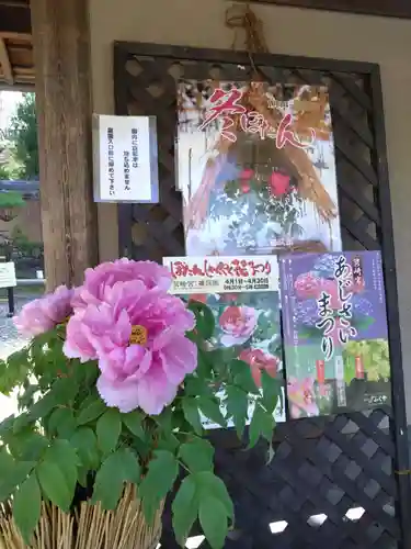 筥崎宮(福岡県)