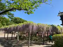 玉敷神社の庭園