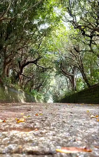 酒列磯前神社の景色