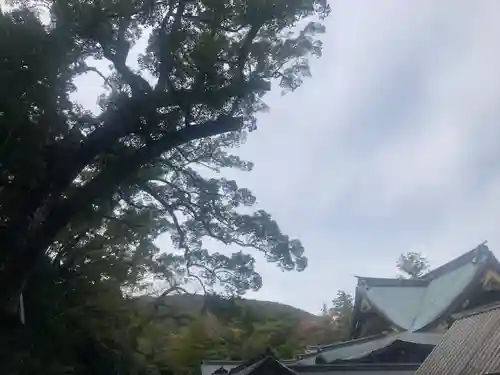 伊勢神宮内宮（皇大神宮）(三重県)