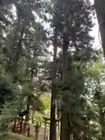 大宮温泉神社の鳥居