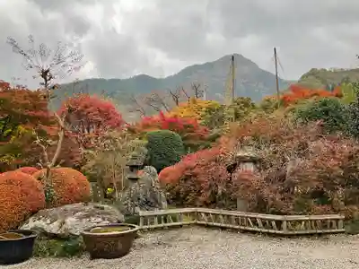 長泉院(埼玉県)