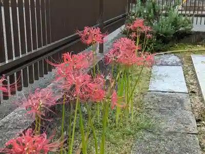 大松禅寺の庭園