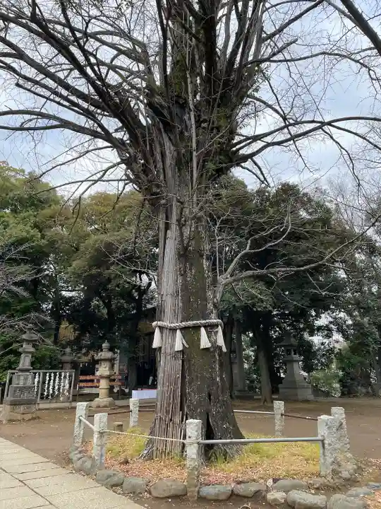 赤坂氷川神社(東京都)