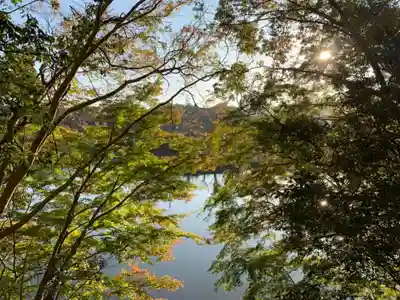 八雲神社の自然