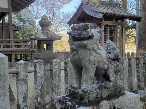 山田感神社の狛犬