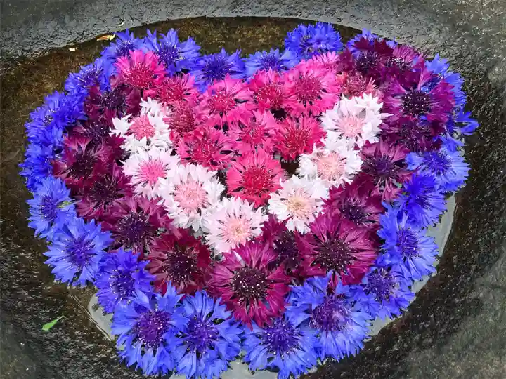 真言宗 善通寺派 薬王寺(香川県)