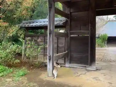 円天寺(千葉県)