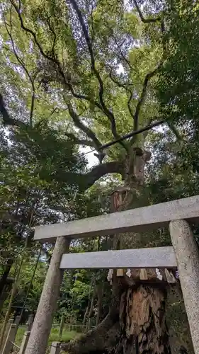 松阪神社(三重県)