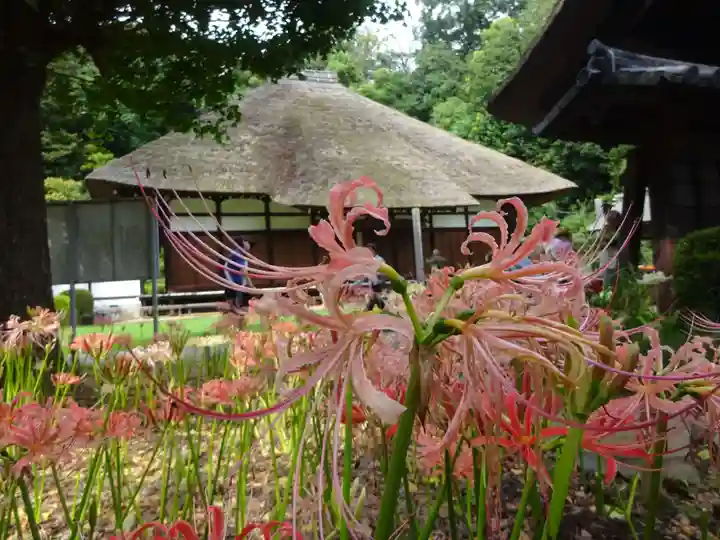 横浜 西方寺の本殿・本堂