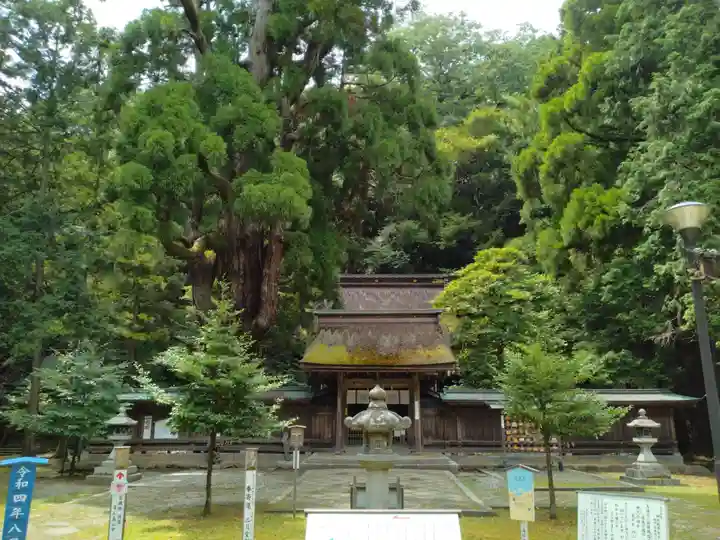 若狭彦神社(上社)(福井県)