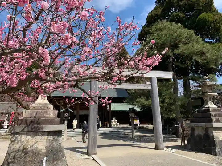 射水神社の鳥居