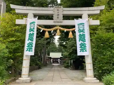 星川杉山神社の鳥居