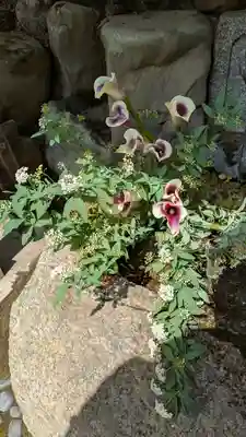 八大神社(京都府)