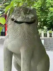 住吉神社の狛犬