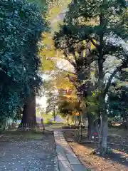 眞福寺(神奈川県)