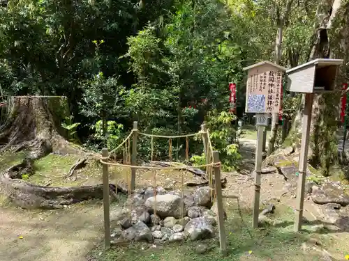 春日大社(奈良県)