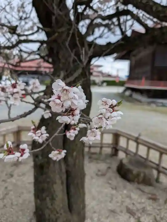 鼬幣稲荷神社(岩手県)