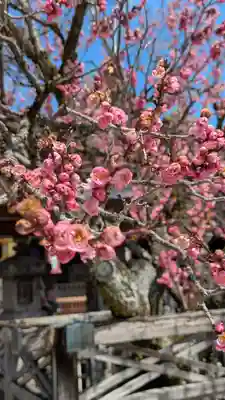 北野天満宮(京都府)