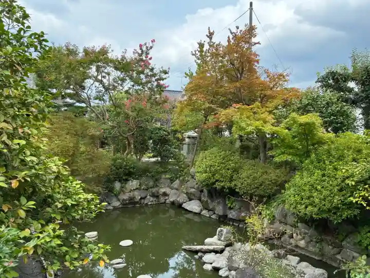 おふさ観音(観音寺)(奈良県)