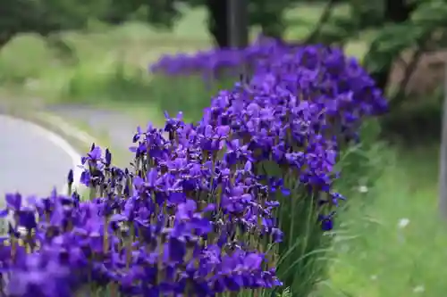 高司神社〜むすびの神の鎮まる社〜の庭園