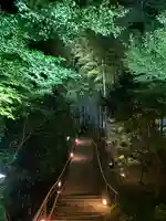 高台寺(高台寿聖禅寺・高臺寺)(京都府)