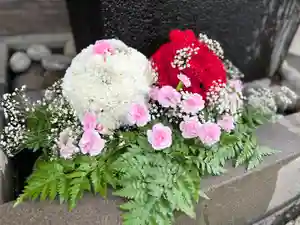 上尾御嶽神社の自然(2023年05月13日(土) 16時05分22秒投稿)