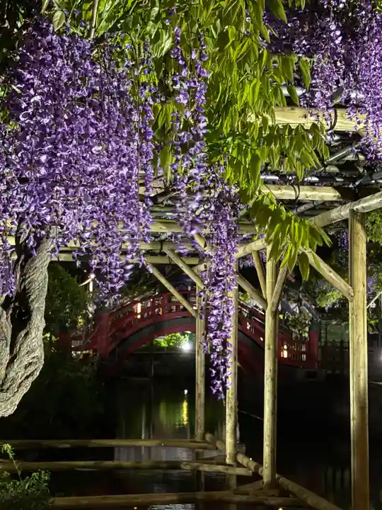 亀戸天神社(東京都)