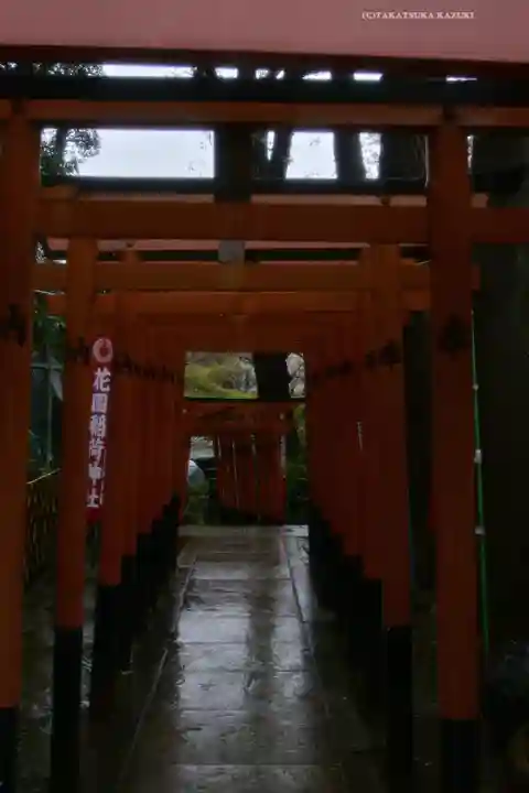 花園稲荷神社の鳥居